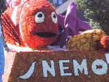 Korso Nemo -Klicke und Bild erscheint in Farbe und Größer