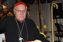 ... der Cardinale